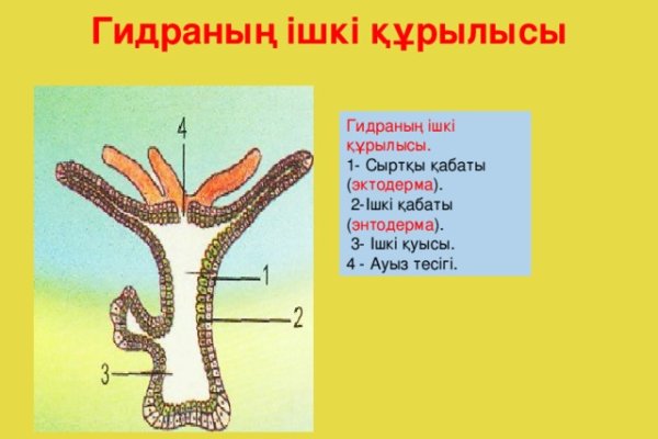 Сайт мега кракен