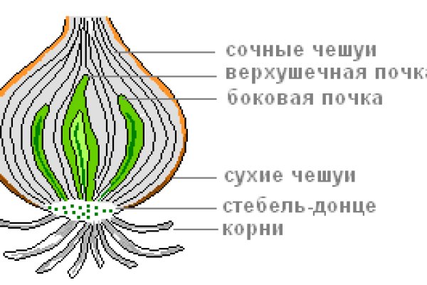 Кракен сайт это